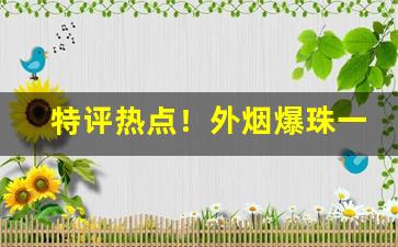 特评热点！外烟爆珠一手货源供应商批发代理“方外侣”