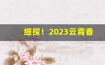 细探！2023云霄香烟批发厂家“长袖善舞”