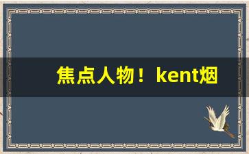 焦点人物！kent烟的价格表图“耳根清净”