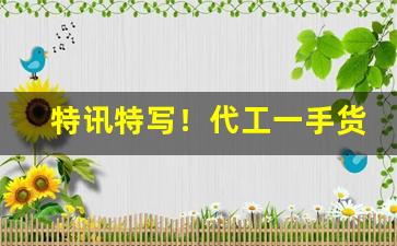 特讯特写！代工一手货源“稗官野史”