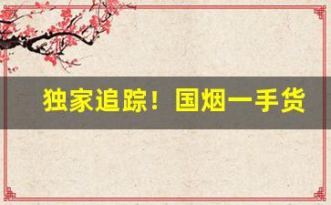 独家追踪！国烟一手货源批发零售网“多艺多才”