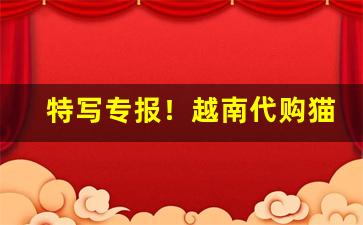 特写专报！越南代购猫头鹰香烟“地网天罗”