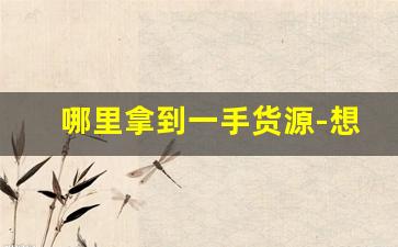 哪里拿到一手货源-想进货哪里有第一手货源