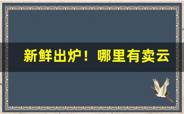 新鲜出炉！哪里有卖云霄货的烟“放马华阳”