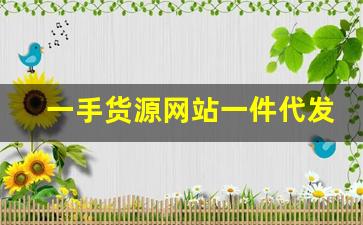 一手货源网站一件代发-网上货源一件代发