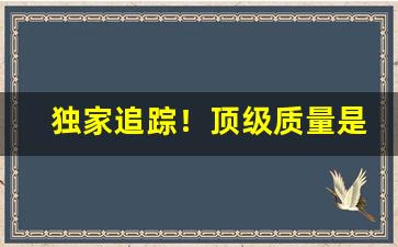 独家追踪！顶级质量是什么货“单人匹马”