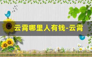 云霄哪里人有钱-云霄县最有名气的人