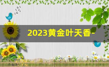 2023黄金叶天香-黄金叶天香细支在哪里看编码