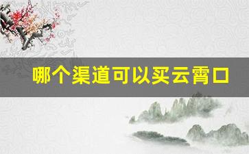 哪个渠道可以买云霄口粮-哪个渠道可以买云霄