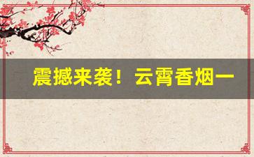 震撼来袭！云霄香烟一手货源厂家直销批发免费代理“更进一步”