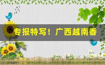 专报特写！广西越南香烟代工一手货源“更姓改物”
