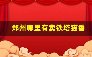 郑州哪里有卖铁塔猫香烟-铁塔猫烟在南京的商店可以买到吗