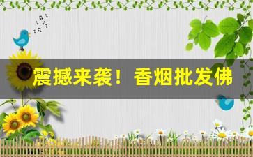 震撼来袭！香烟批发佛山“风尘苦旅”
