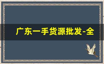 广东一手货源批发-全国批发一手货源基地