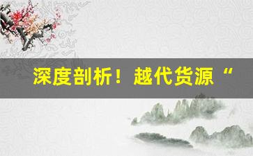 深度剖析！越代货源“长天大日”