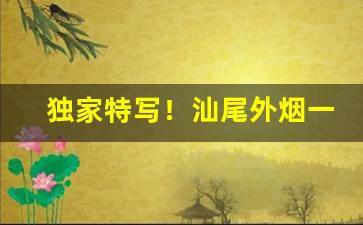 独家特写！汕尾外烟一手货源2022年“兵戎相见”