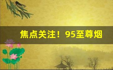 焦点关注！95至尊烟批发多少钱一条“根孤伎薄”