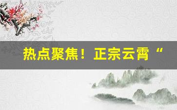 热点聚焦！正宗云霄“公买公卖”