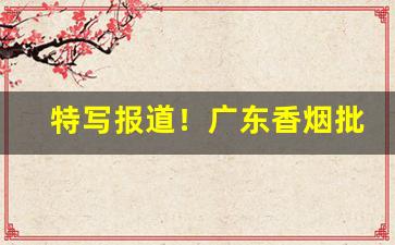 特写报道！广东香烟批发渠道“补天柱地”