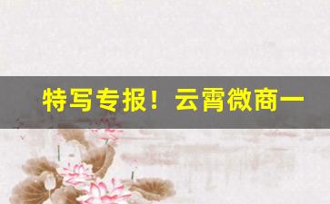 特写专报！云霄微商一手货源“捶骨沥髓”