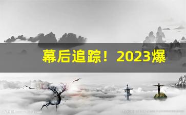 幕后追踪！2023爆珠烟一手货源网站“世外桃源”