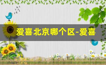 爱喜北京哪个区-爱喜上海哪里能买到