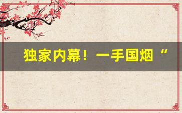独家内幕！一手国烟“踔厉奋发”