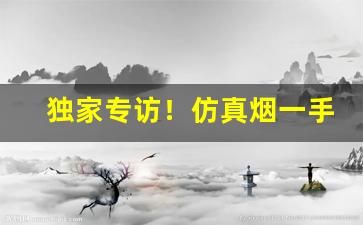 独家专访！仿真烟一手货源批发“万人空巷”