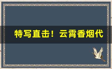 特写直击！云霄香烟代理一手批发货源“才高意广”