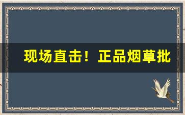 现场直击！正品烟草批发市场“刀耕火种”