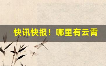 快讯快报！哪里有云霄货“根连株拔”
