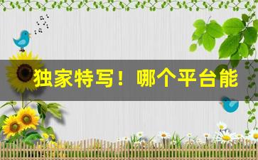 独家特写！哪个平台能购买到正品“材士练兵”