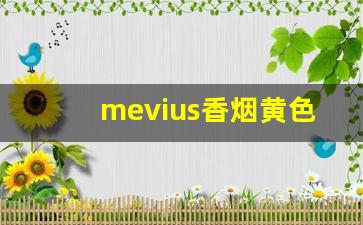 mevius香烟黄色多少钱-mevius蓝黄色烟价格