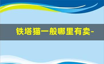 铁塔猫一般哪里有卖-铁塔猫专卖店多少钱