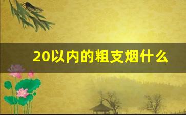 20以内的粗支烟什么好抽-20-30的粗烟哪个好抽