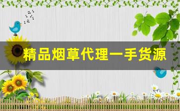 精品烟草代理一手货源-正宗烟草哪里有卖