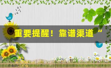 重要提醒！靠谱渠道“北斗之尊”