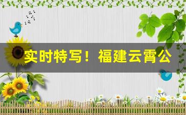 实时特写！福建云霄公安网“对号入座”