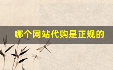 哪个网站代购是正规的-官网代购靠谱么
